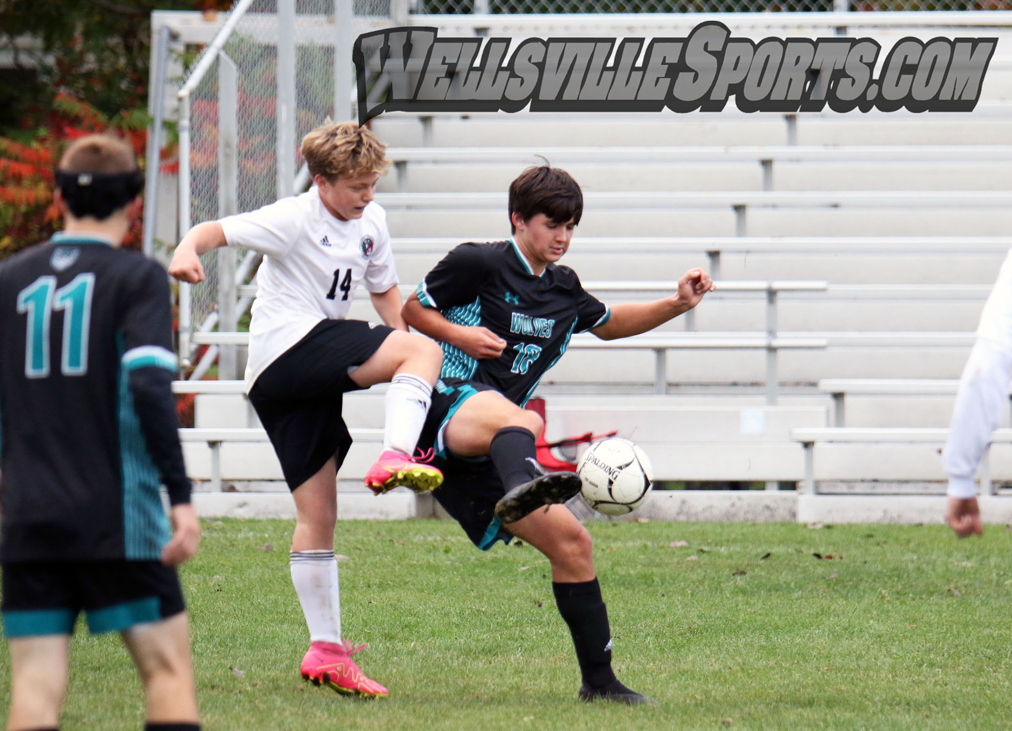 ArkportCanaseraga battles GV/Belfast (photo gallery); AlfredAlmond, AW/JT wins, Fillmore