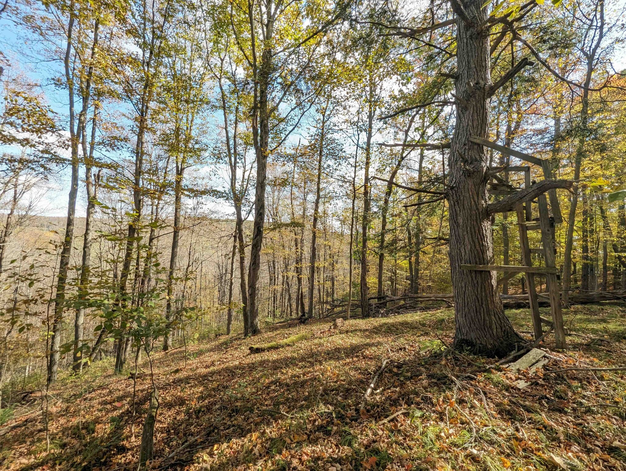 NY Landquest For Sale Canisteo country road property has field and