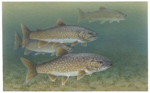 Craving a freshwater fishing adventure? Keuka Lake offers diverse species, stunning scenery, and trophy-sized catches.