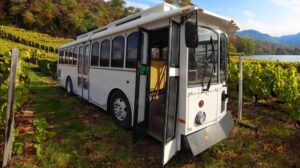 Explore Seneca Lake's beauty with ease on the Seneca Lake Lakeside Trolley, a convenient hop-on, hop-off tour with picturesque stops.