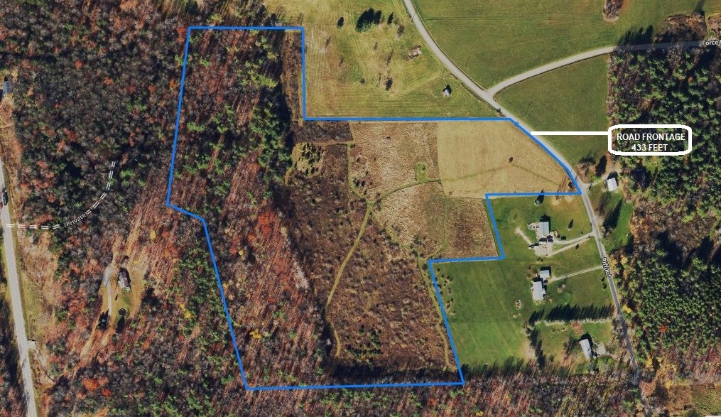 NY Landquest For Sale Acreage, road frontage, wildlife galore near