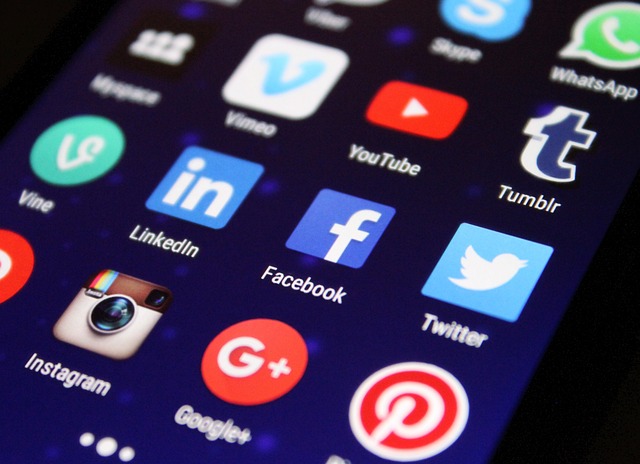 Understanding the Pros and Cons of Organic and Paid Social Media Marketing from Mystic Media Dot Com, Inc.