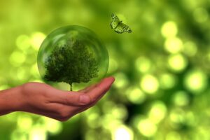 Explore how Hunt Country Vineyards pioneers sustainability in the wine industry as an IWCA micro-winery member, promoting global decarbonization efforts.