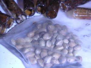 Steuben County faces a troubling rise in drug overdoses, with 37 incidents and one confirmed fatality reported in June.