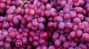 Farmer's Market with Glenn Scott Farm Thursdays through September from 5-7pm at the Tasting Room