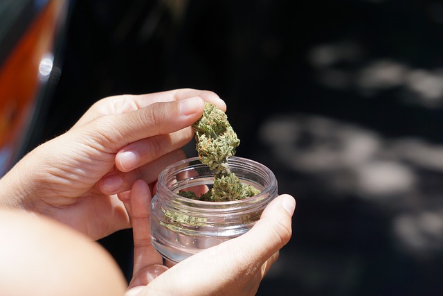 Steuben County will hold a public hearing on new cannabis regulations.