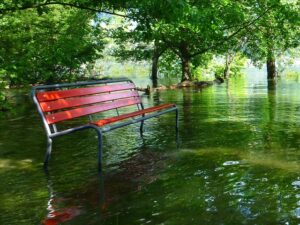 Governor Kathy Hochul has directed the state DEC to issue an emergency declaration for 18 counties impacted by severe storms and flooding on August 9th and 10th.
