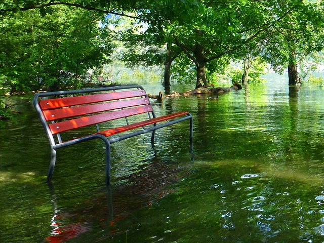 Governor Kathy Hochul has directed the state DEC to issue an emergency declaration for 18 counties impacted by severe storms and flooding on August 9th and 10th.