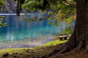 Keuka Lake and Seneca Lake are buzzing with excitement this September! From art and music to food and wine, there's something for everyone. Don't miss out on these incredible events.