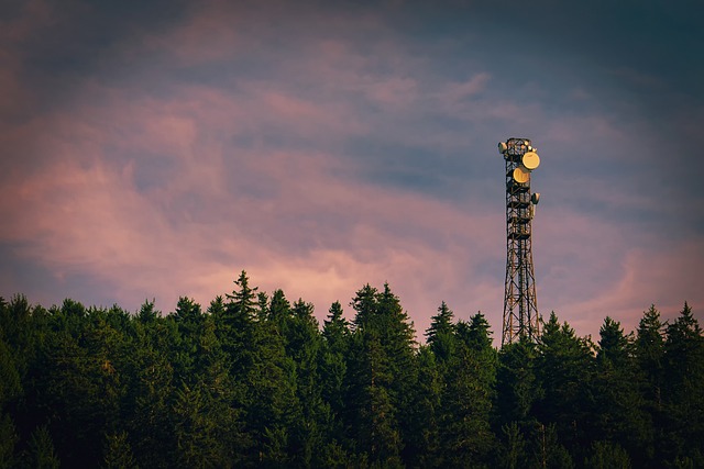 Yates County lawmakers are appealing a state budget decision that drastically reduced reimbursements for a radio tower partnership with Cayuga County.