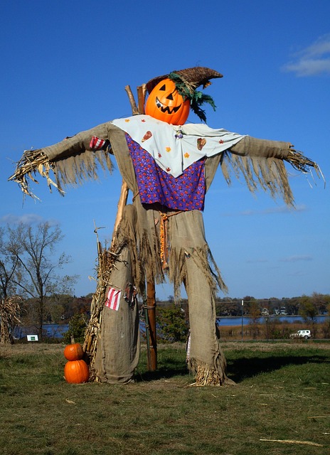The Yates County Chamber is seeking entries for its annual Scarecrow Decorating Contest. All ages, businesses, and organizations are invited to participate.