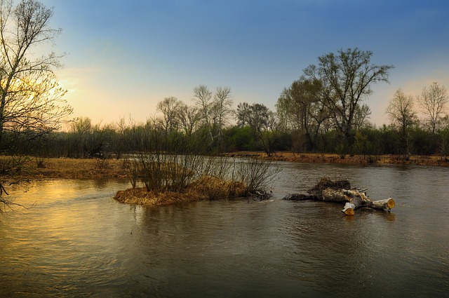 Addison’s Benefit Concert on September 7 will support flood-affected businesses with live music and activities