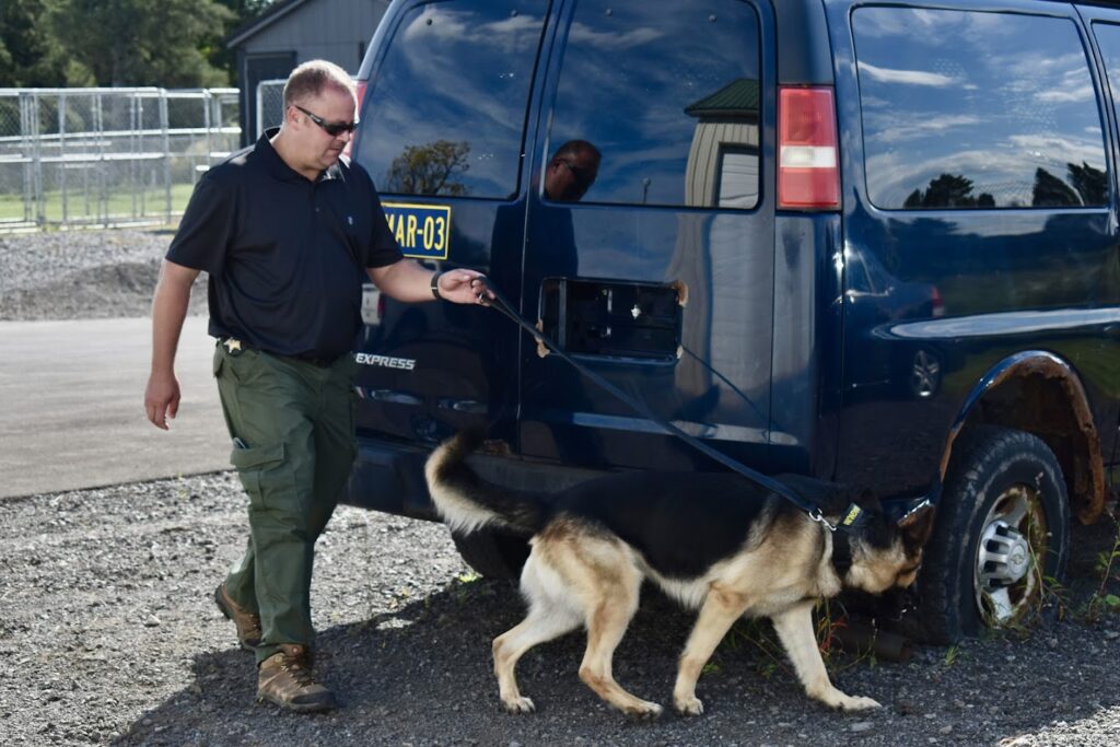 Correction Officer James Palmer and his K9 partner Magnum successfully completed the annual K9's Behind the Wall event, demonstrating their exceptional skills and dedication to their service.