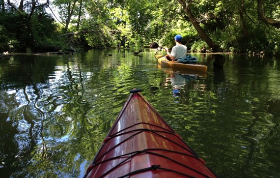 From the KLA Septemberr Newsletter: This summer has seen considerable focus on harmful algal blooms (HABs), given their increasing prevalence on some of our sister Finger Lakes and their unusually early appearance on Keuka Lake.