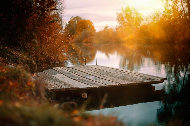 Keuka Lake and Seneca Lake are buzzing with excitement this October! From art and music to food and wine, there's something for everyone. Don't miss out on these incredible events.
