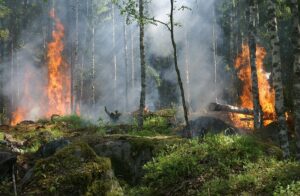 A sigh of relief has washed over Steuben County as it has been confirmed that local firefighters will not be deployed to assist with the ongoing wildfires in Orange County.