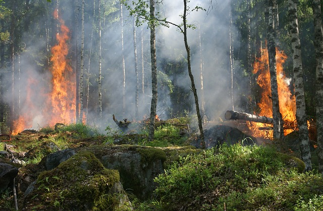 A sigh of relief has washed over Steuben County as it has been confirmed that local firefighters will not be deployed to assist with the ongoing wildfires in Orange County.