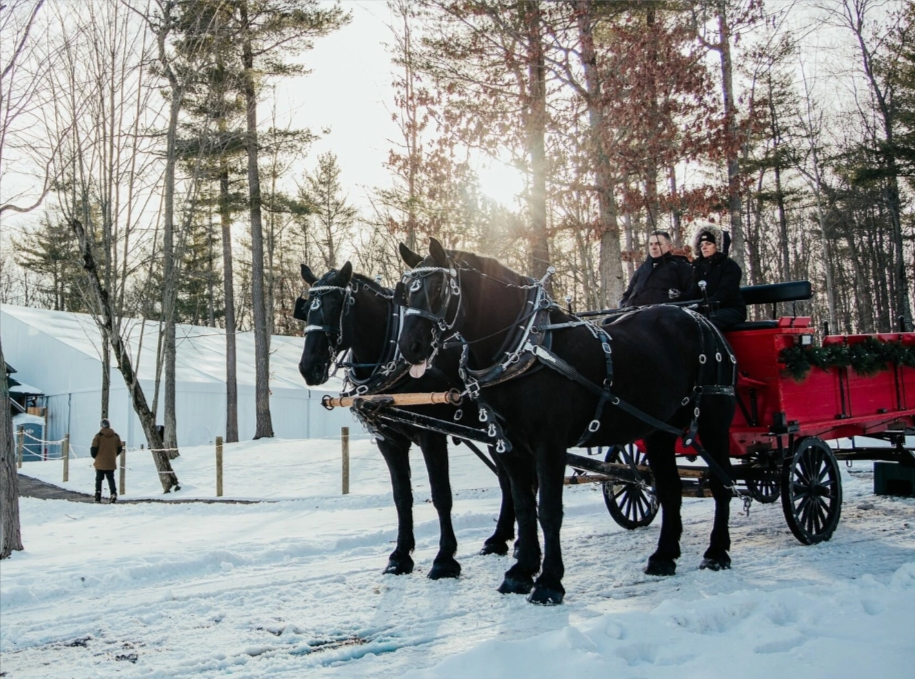 Warm up by the outdoor fire pits, roast a marshmallow, enjoy elegant live music, or take a horse and carriage ride through the vineyard.