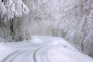 Snow Blankets Finger Lakes as Winter Storm Intensifies
