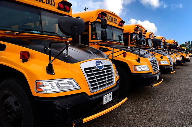 A Naples Central School District bus driver was arrested on February 3, 2025, after allegedly purchasing a .22 caliber rifle during his scheduled bus route with students on board.