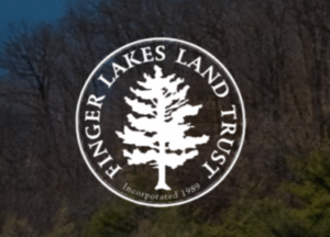 The Finger Lakes Land Trust seeks a new Director of Development to lead fundraising as it expands conservation efforts across the region.