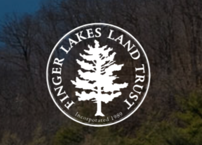 The Finger Lakes Land Trust seeks a new Director of Development to lead fundraising as it expands conservation efforts across the region.