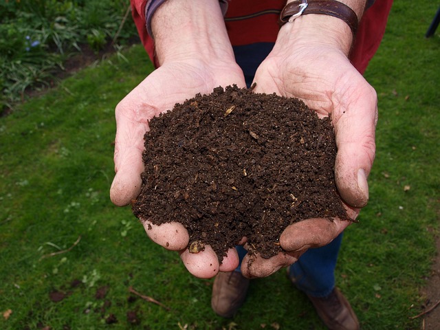 BATH, NY — The Village and Town of Bath have announced the seasonal reopening of their compost site, beginning Saturday, April 5th, 2025. The facility will once again offer a place for local residents to dispose of yard waste, including brush, leaves, grass clippings, and other garden materials.