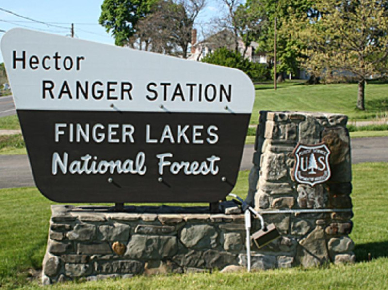 Seneca Lake Guardian is urging public action to prevent expanded logging in Finger Lakes National Forest under a new federal order.