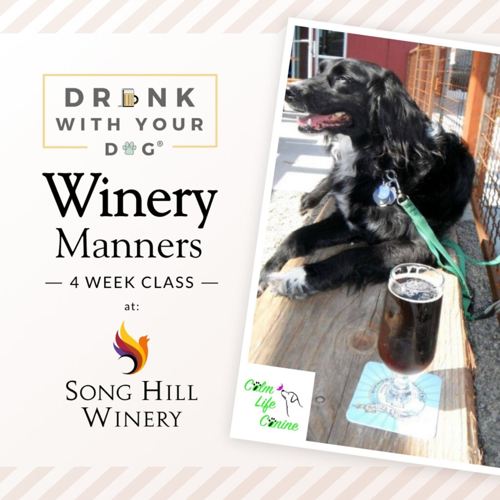 Dog-Friendly Wineries For Everyone