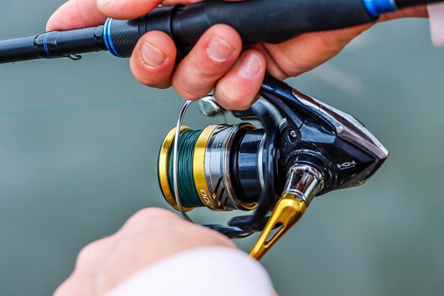 Fishing Pool Reel
