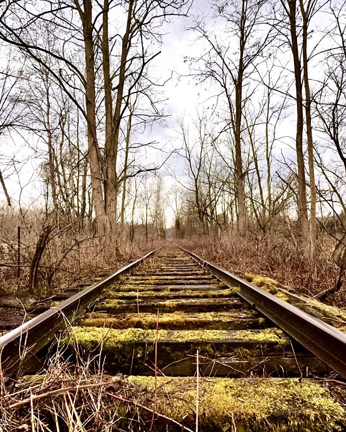 658169140_26837565402495538_3852407410031470454_n