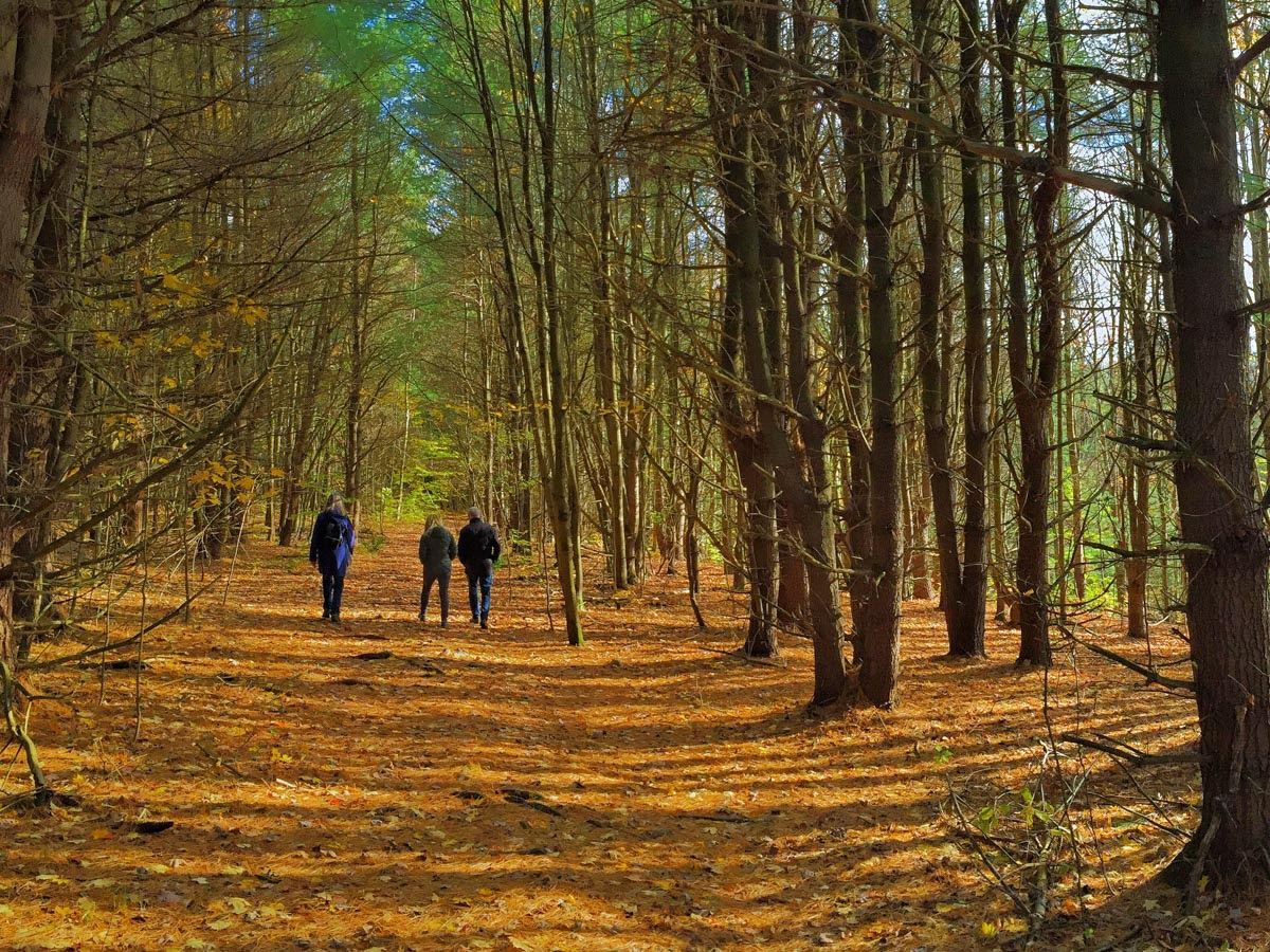 Outside Early Spring Your Inspiration to Get Outside in Early Spring • The KEUKA SUN
