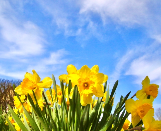 678783656_2760845010942696_7697888163442925813_n